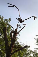 Osprey sculpture
