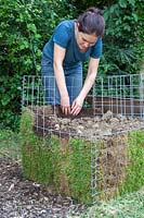 Woman using compost to backfill gabion lined with turf