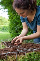 Woman adding a layer of compost to the top of metal gabion lined with turf