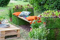 Living gabion bench - metal gabions lined with turf, planted with lettuce plants, with cushions and pallet table