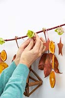 Attaching hellebore flowers onto advent branch