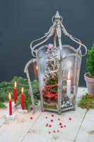 Christmas scene of miniature tree, chair and lit candle in metal lantern