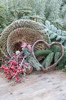 Bamboo cloches, Ilex berries and Fir foliage in frosty winter scene