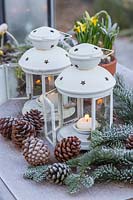 Container of Narcissus, Pine cones, Fir foliage and lanterns arranged to create frosty winter scene