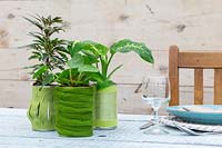 Felt and wool covered tin cans planted with green houseplants. 