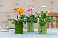 Tin cans covered with felt and wool planted with Gerbera. 