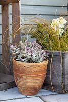Spring container display with wooden box. 