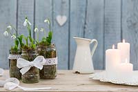 Snowdrops - Galanthus woronowii planted into jam jars decorated with lace ribbon
