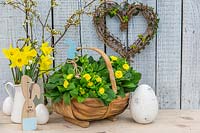 Easter arrangement - wooden trug with Primula, tools and decorations. 