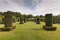 Clipped yew topiary pillars on lawn, Scampston Hall, North Yorkshire, UK