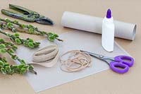Materials and tools for making Goat Willow decorative napkin rings