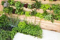 Wood panelled living wall with salad, herbs and fruit plants. Salad Deck, RHS Malvern Spring Festival, 2018
