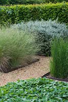 Ornamental grasses in indivdual beds, Suffolk