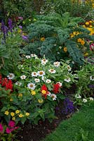 Vegetables to add interest to a summer flower border. 