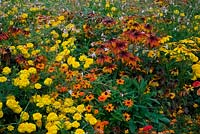 Flowerbed with flowering perennials in warm colours. 
