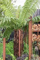 Dicksonia antarctica with reclaimed rusted drainage pipes - Bee's Gardens: The Penumbra, RHS Tatton Park Flower Show 2018