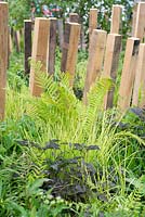 Timber posts framing a border with foliage of Seslaria autumnalis and Dryopteris filix-mas - Calm in Chaos, RHS Tatton Park Flower Show 2018