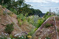 Dry gravel garden with Origanum laevigatum, Anemone 'Wild Swan', Perovskia 'Blue Spire' and Gaura lindheimeri - The Oasis Garden, RHS Tatton Park Flower Show 2018