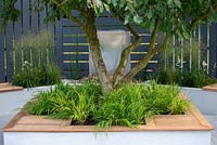 Malus 'Almey' underplanted with Hakonechloa macra in raised bed with seating - The Oasis Garden, RHS Tatton Park Flower Show 2018