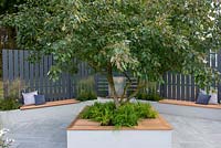 Malus 'Almey' underplanted with Hakonechloa macra in a raised bed with seating - The Oasis Garden, RHS Tatton Park Flower Show 2018