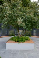 Malus 'Almey' underplanted with Hakonechloa macra in a raised bed with seating - The Oasis Garden, RHS Tatton Park Flower Show 2018
