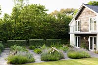 House with contemporary herb garden with stone paving, clipped box, catmint, chives, fennel and artichokes - Barefoot Garden, Cornwall, UK