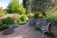 Gravel garden with bench, variegated pittosporum and clipped box - Private Garden, Somerset, UK