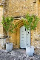 Two almond trees, Prunus dulcis, in dolly tubs frame a door into the farmhouse, a gatehouse to a long demolished Cluniac Priory, UK