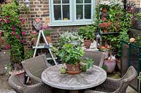 Wooden table and wicker chairs with strawberry plant 'Florence'