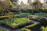 Fresh leaves of onions and globe artichokes catch the evening sun in the potager at Barnsley House, Cirencester, UK