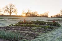 The vegetable garden under a light layer of frost at dawn. Barnsley House, Cirencester, Glos, UK. 
