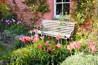 View of wooden bench in front of house by flowering borders. 