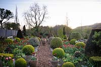 Gravel path leading through formal garden with topiary. 