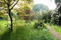 Paths lead between a great variety of mature trees and shrubs, including both 
deciduous and evergreen specimens, through long grass studded with wild flowers and bulbs.