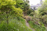 Grass in parts of the garden grows long and contains wildflowers such as bluebells and cow parsley. There are many naturalized bulbs too including martagon lilies.