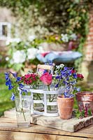 Delphiniums, roses, Feverfew and Dianthus