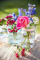 Delphiniums, Roses, Feverfew and Dianthus