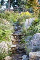 Stream with rocks and marginal planting 