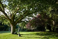 Sculpture under mature Quercus  - oak tree, England, UK