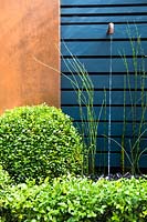 Contemporary water feature with rusted taps surrounded by Equisetum hyemale,
 Buxus sempervirens balls and hedge topiary by blue wooden wall and rusted panels. 