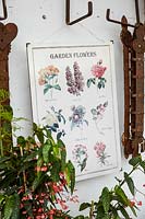 Poster of vintage botanical illustrations hanging on wall with rusty tools and houseplants