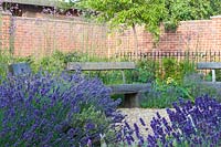 Courtyard garden with oak benches and borders of Lavandula angustifolia
 'Hidcote' - lavender, enclosed by high brick walls 