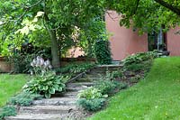 Wooden steps up through shade, with Hosta plants near tree, towards building