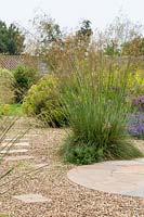 Gravel garden with stepping stone path and Stipa gigantea - golden oats
 