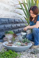 Watering shallow bowl after planting succulents