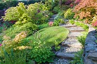 Cobbled path with in-built steps leading up to a raised section of sloping 
garden featuring Acer palmatum japonica - Japanese acers
 