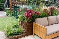 London garden designed by Nick Gough Patio area with garden sofaSmall square 
bed: Variegated grass: Carex Ice Dance and buxus sempervirens topiary ball
Raised bed behind sofa:  Achillea Pomegranate Grass: nasella tenuissima 
Fennel: Foeniculum vulgare purpureum