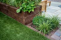 Carex Ice Dance - Variegated grass on patio border