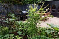 Garden design by Nick Gough 
Garden border with black painted wood fence, wooden summer house and gravel 
patio and seating area. 
Planting includes: Acer palmatum 'Blood Good'
Topiary ball Taxus bacatta - Yew, 
Acer palmatum 'Katsura' - on right
Rheum palmatum atrosanguineum