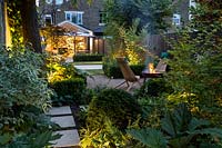 Mixed Acers with Buxus sempervirens hedge and garden lighting at dusk